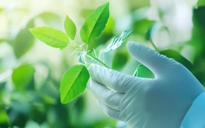 10 Ways to Make Hospitals More Sustainable